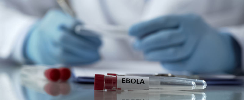 Claves para entender el ébola