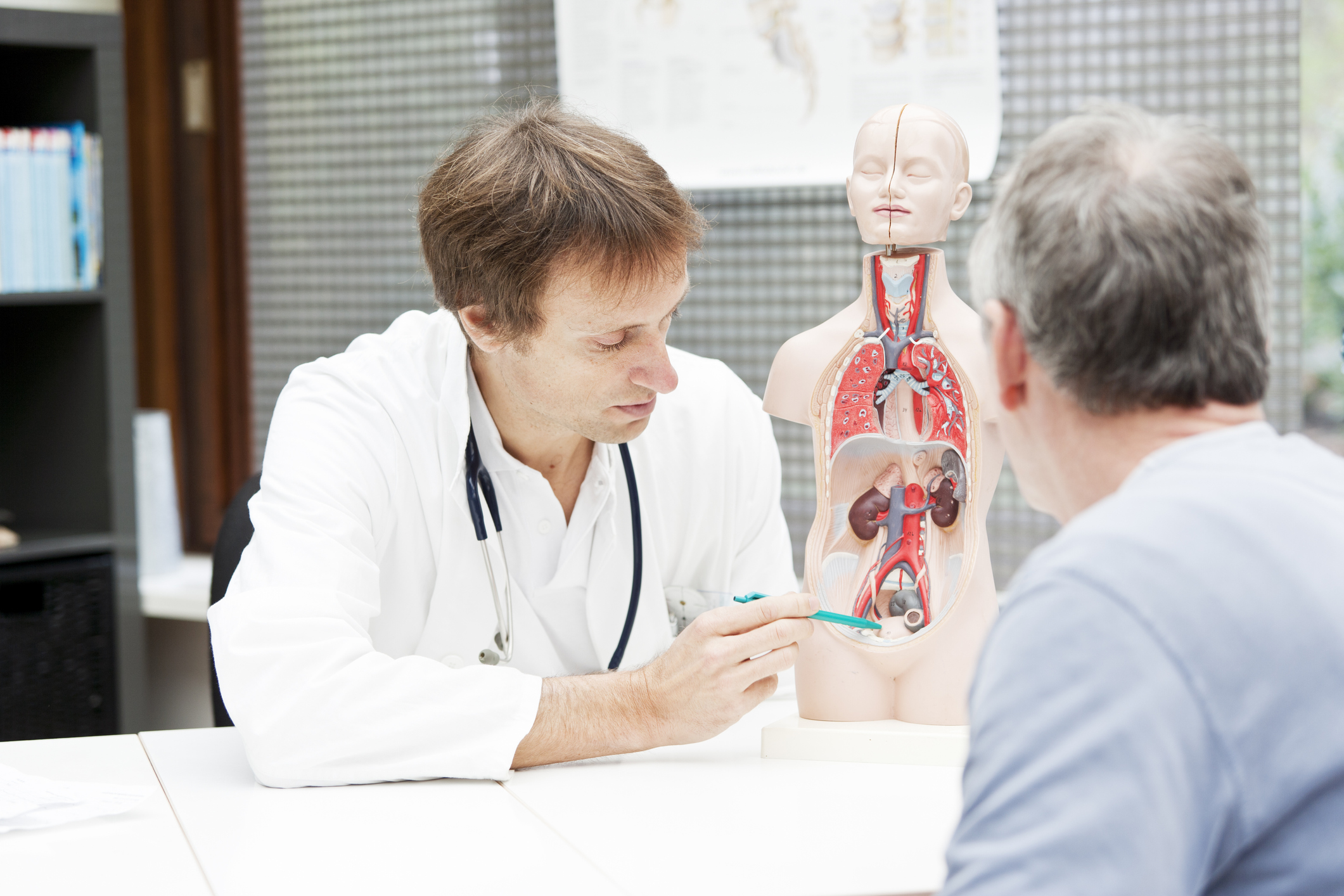 Médico muesta cuerpo humano a paciente