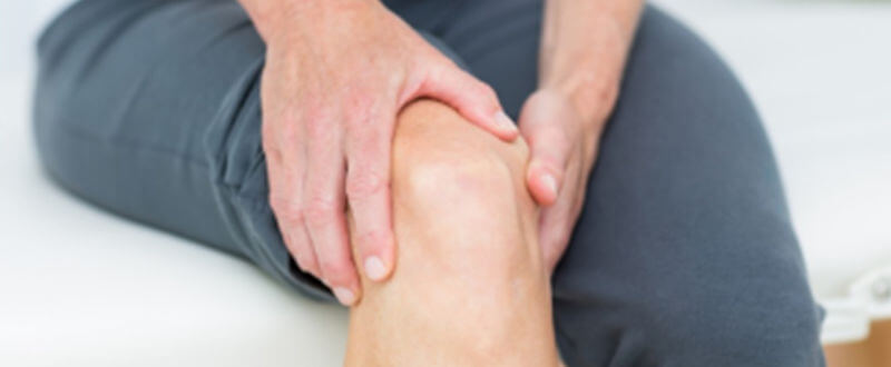 rodilla