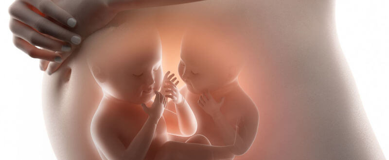 Imagen de dos bebes en la panza de la madre